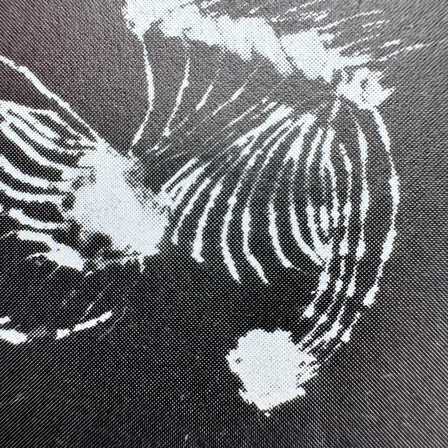 Norman McLaren, Third Eye Centre 1977