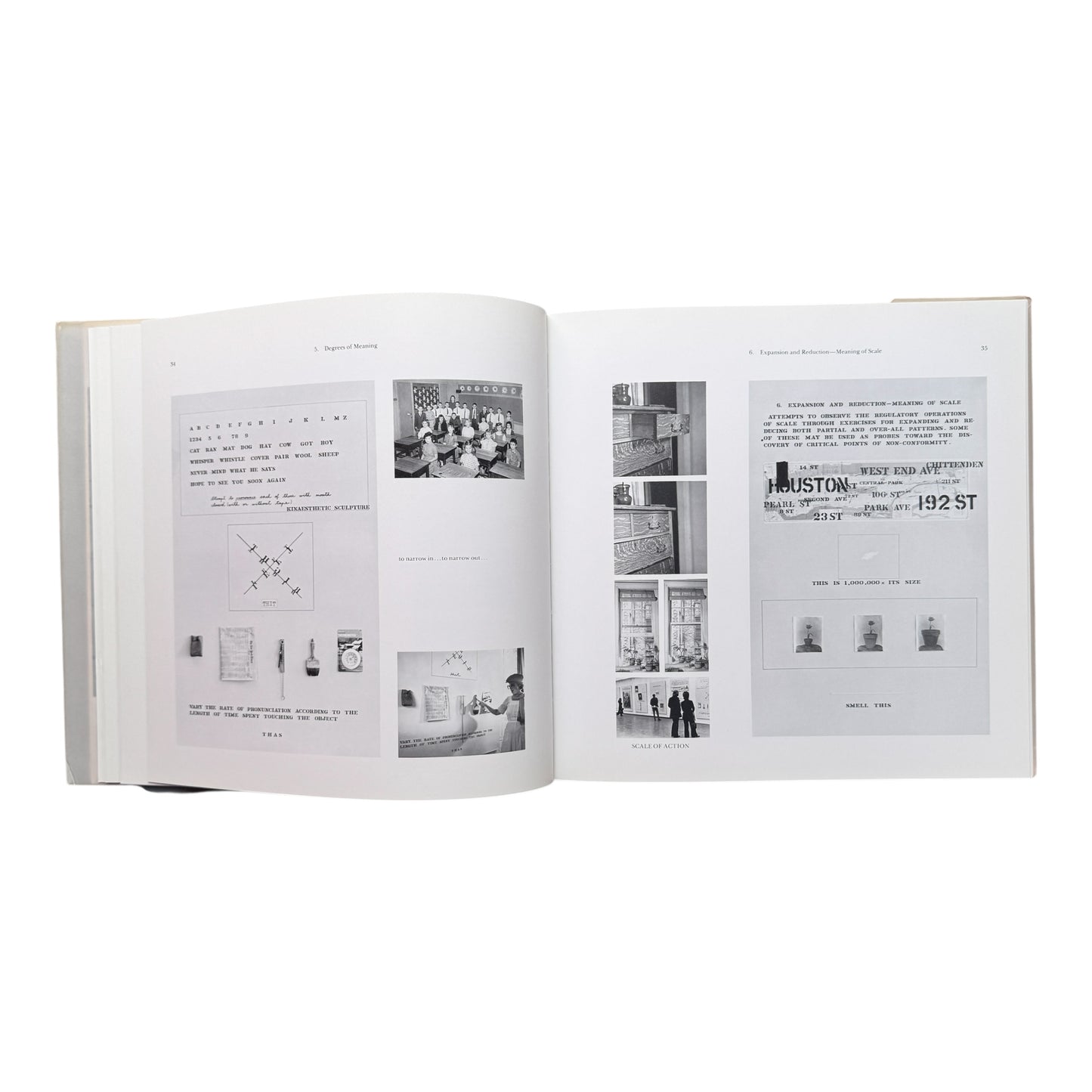 The Mechanism Of Meaning - Gins & Arakawa