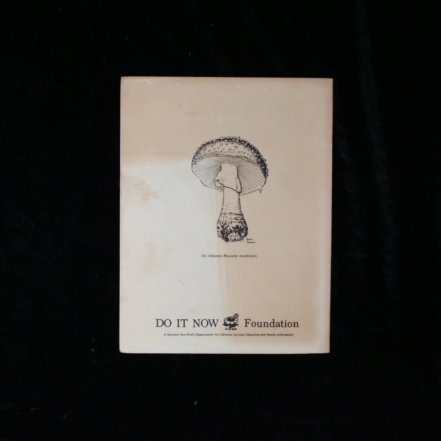 A Conscientious Guide to the Hallucinogens