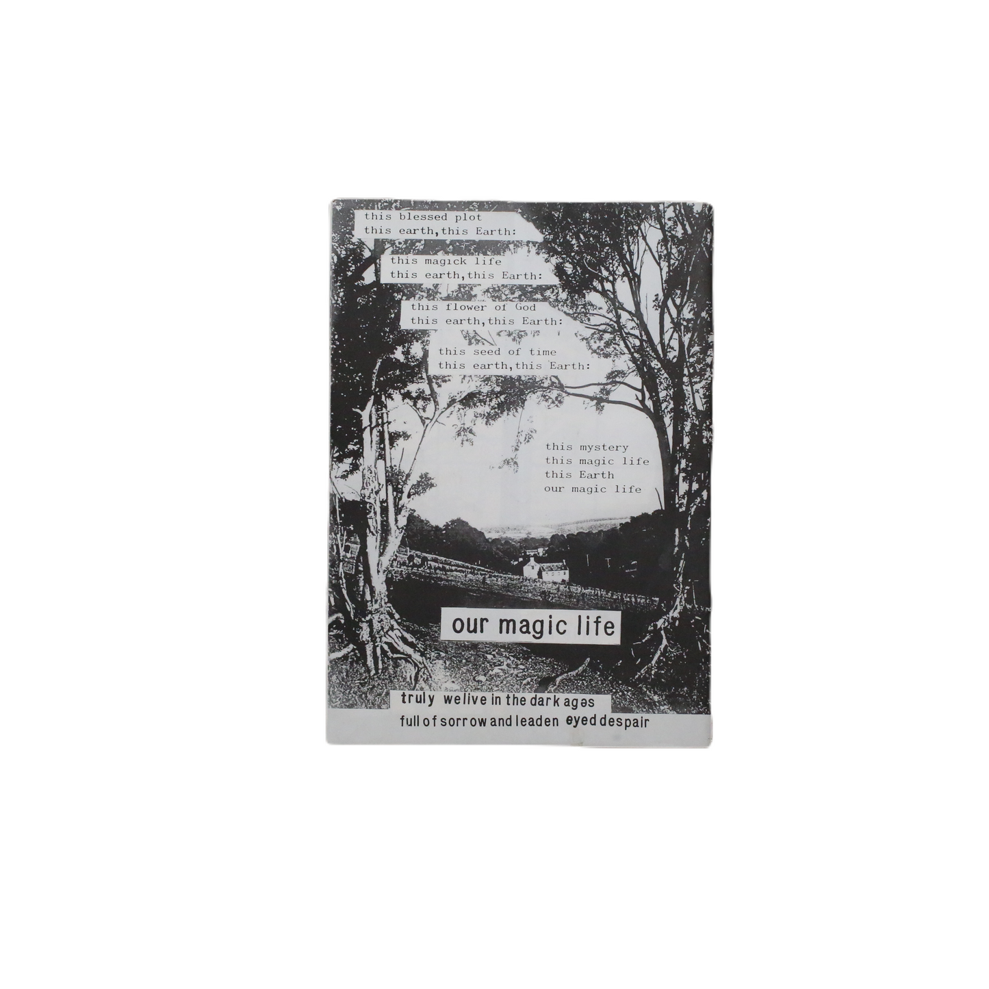 1982, A Lament - Janet Dube