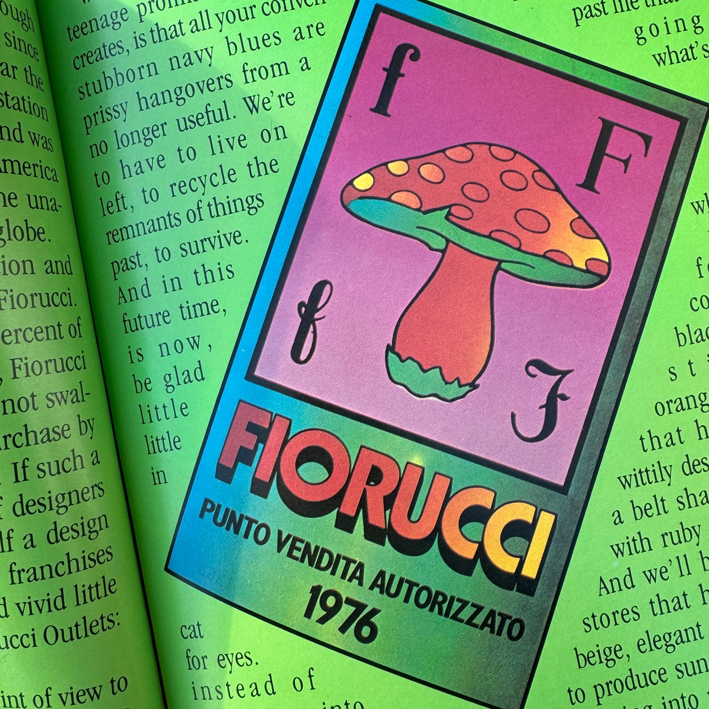 Fiorucci The Book − Eve Babitz