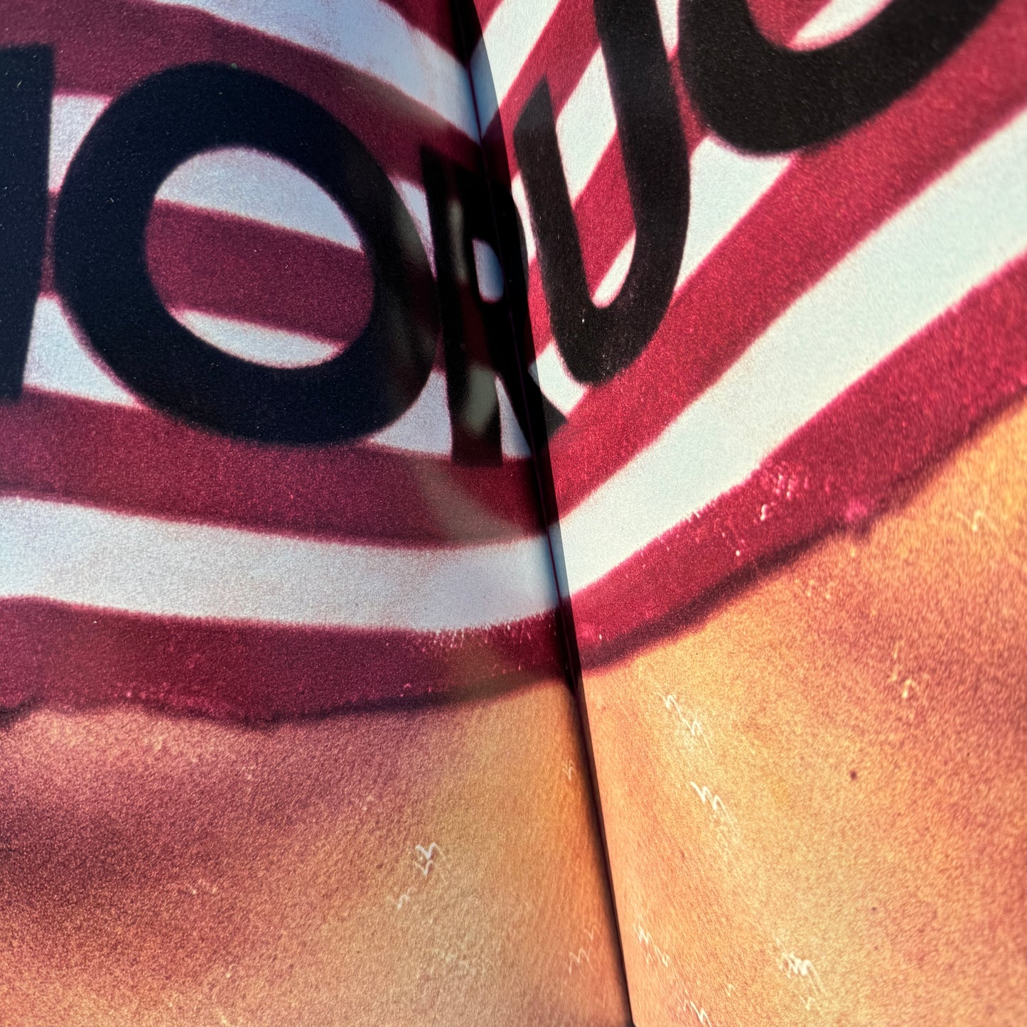 Fiorucci The Book − Eve Babitz