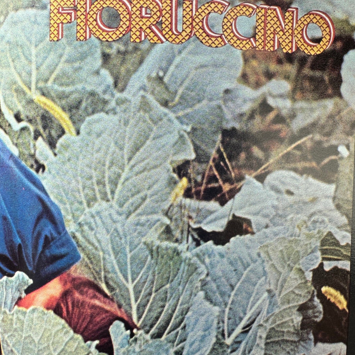Fiorucci The Book − Eve Babitz