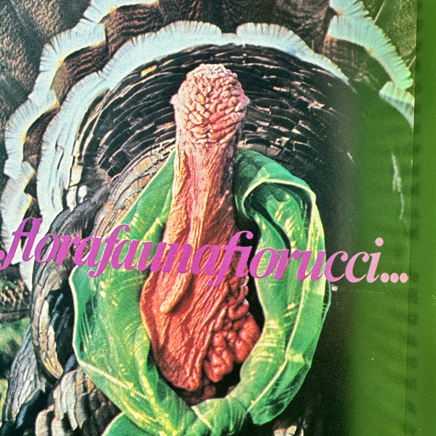 Fiorucci The Book − Eve Babitz
