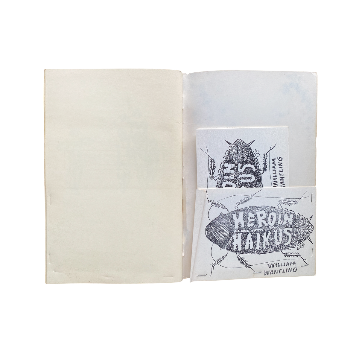 The Spero, Volume 1, Issue 2