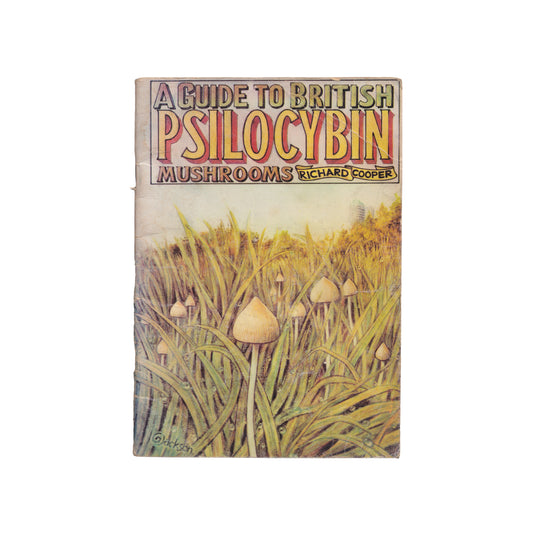 A Guide To British Psilocybin Mushrooms